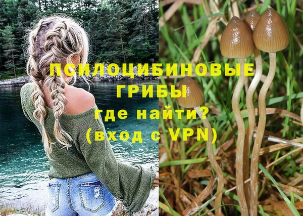 МДПВ Алексеевка