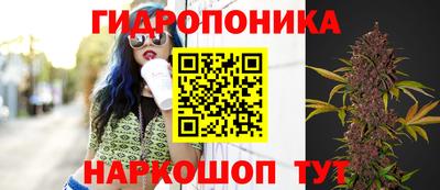 a pvp Ирбит