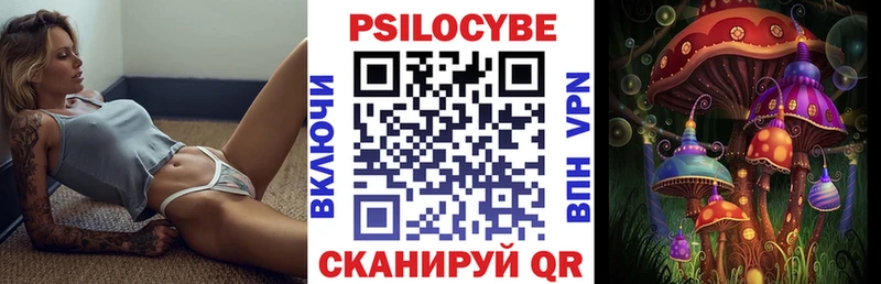 Псилоцибиновые грибы Cubensis  Тосно 