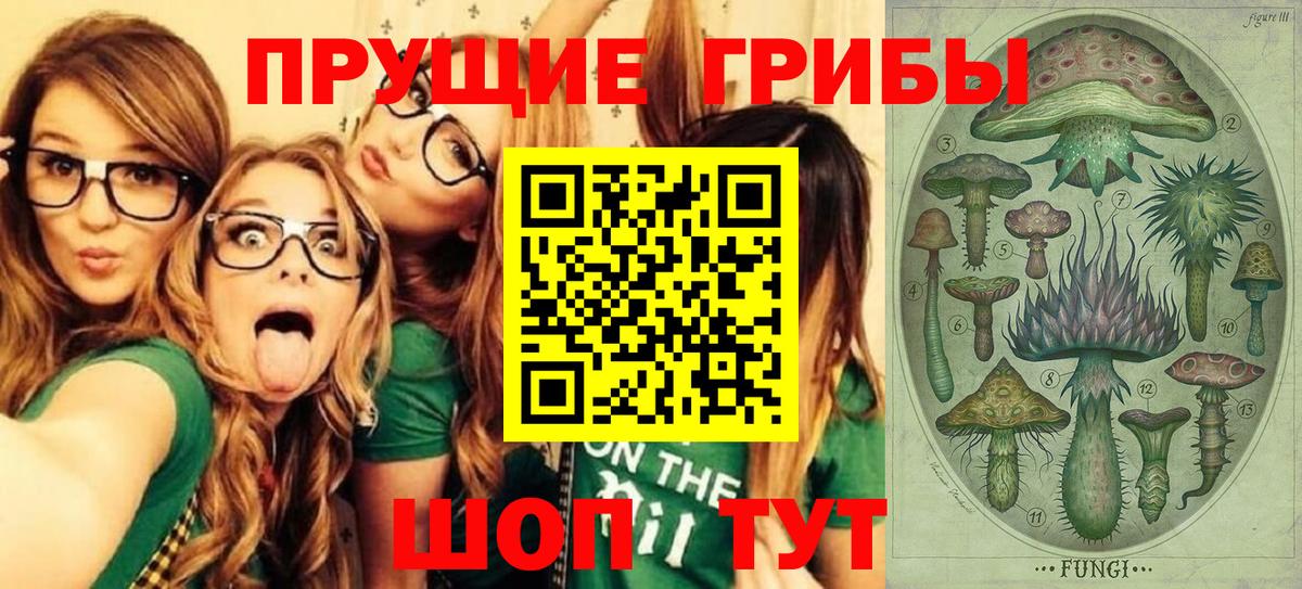 Псилоцибиновые грибы ЛСД  Галлюциногенные грибы ЛСД  Вход с VPN  Тосно 